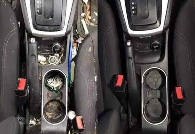 Car Washing (11)_23_11zon