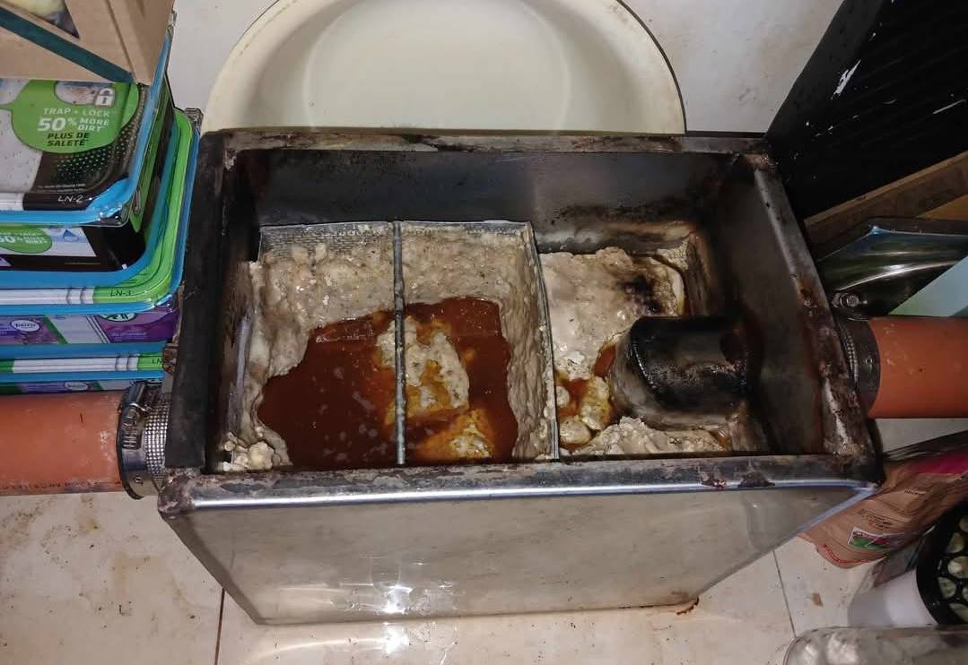 FB_IMG_1736675212278