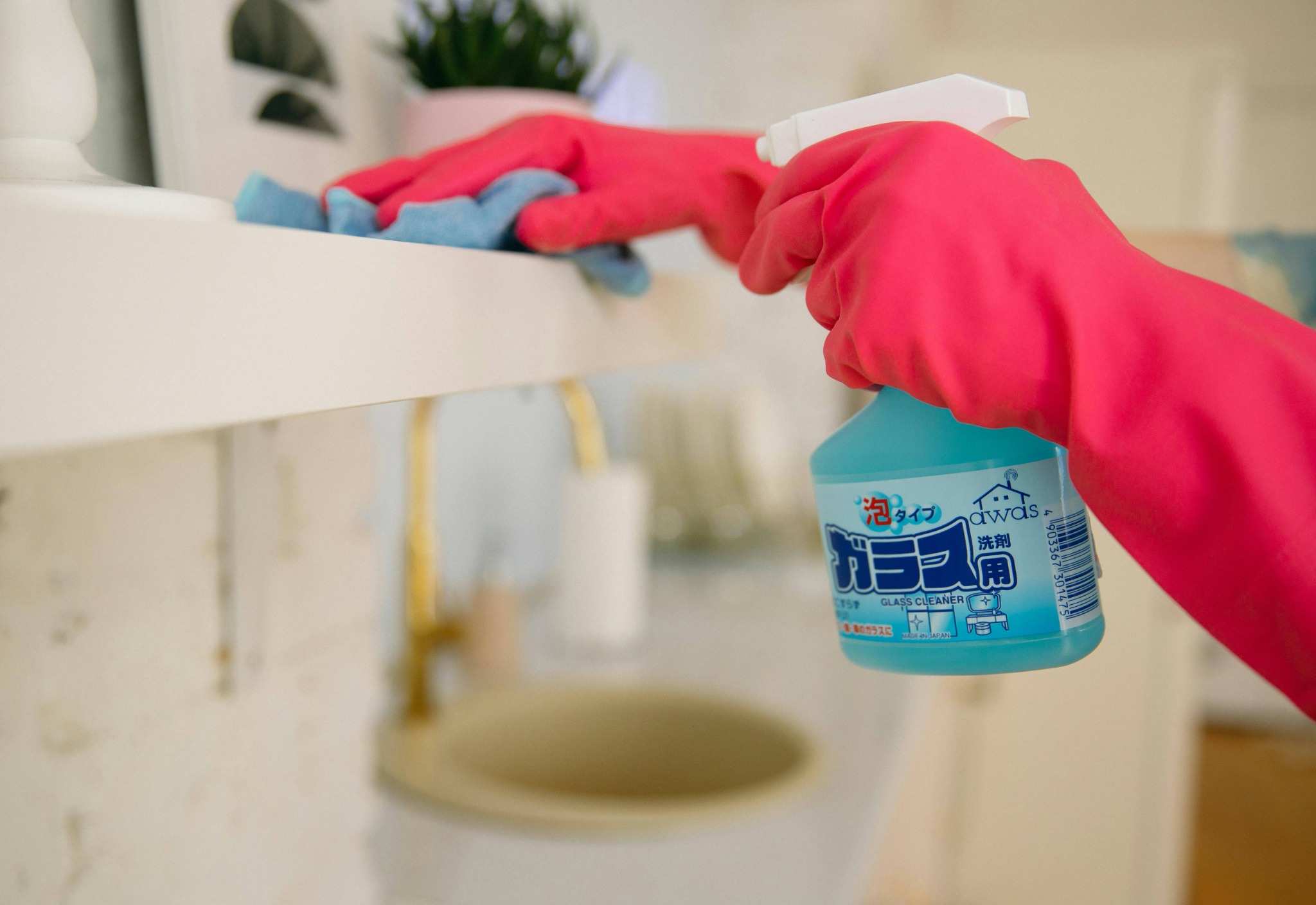 compressed_pexels-polina-zimmerman-4008504