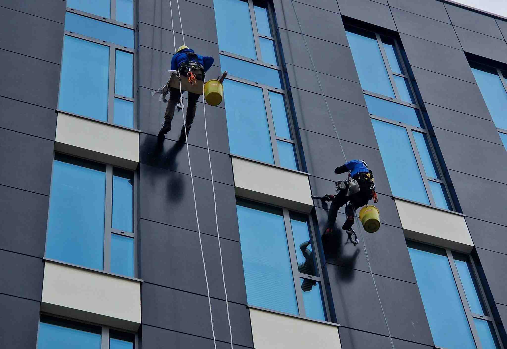 pexels-mvntlie-17085462